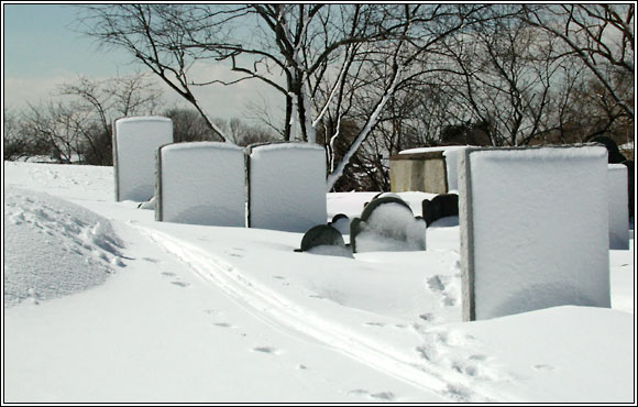 Redd's Pond in Winter.