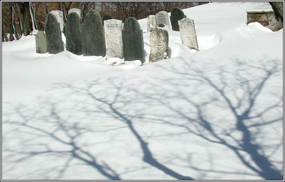 Redd's Pond in Winter.